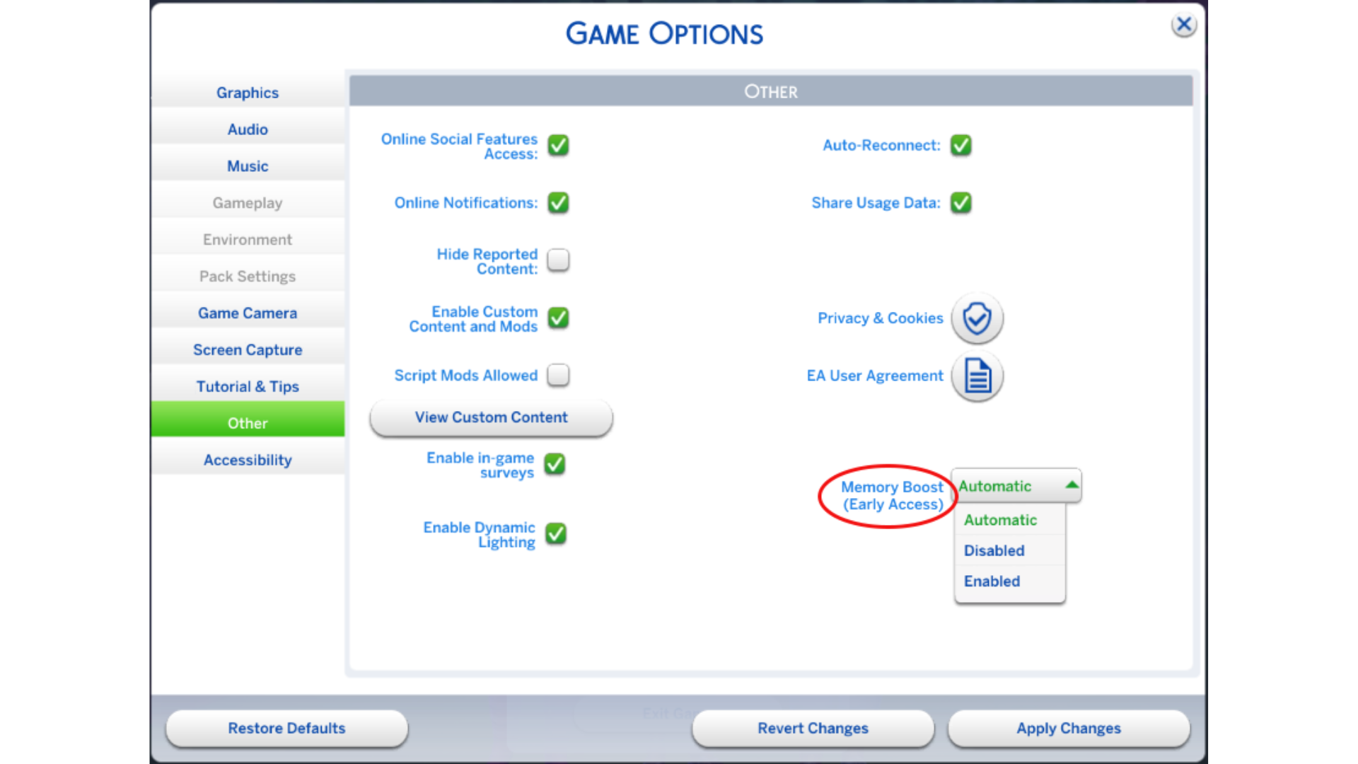 Opção de Otimização de Memória exibida em Opções de Jogo, na categoria Outro