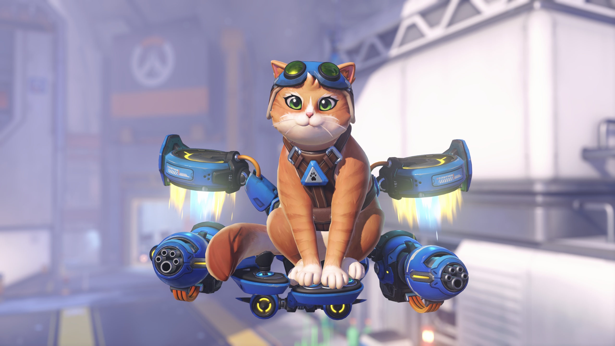 Jetpack%20Cat.png