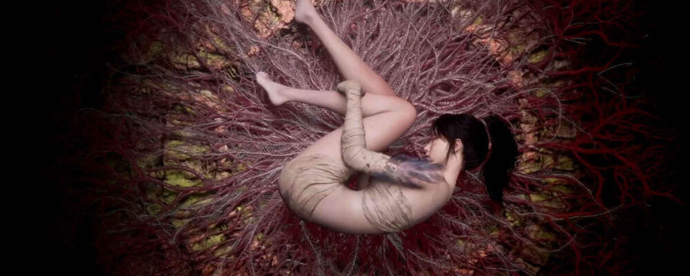 Wuchang: Fallen Feathers tem direitos adquiridos pela Digital Bros