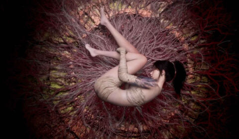 Wuchang: Fallen Feathers tem direitos adquiridos pela Digital Bros