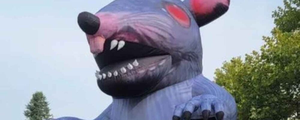 CEO da Xbox enfrenta protestos durante visita à Bethesda  – Combo…